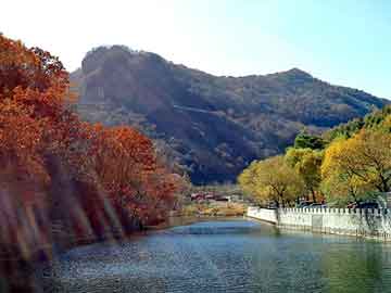 澳门二四六天天彩图库，月票